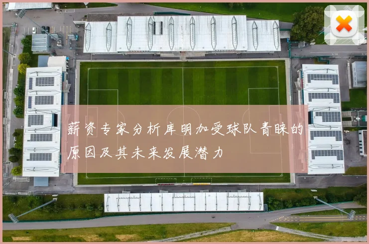 薪资专家分析库明加受球队青睐的原因及其未来发展潜力